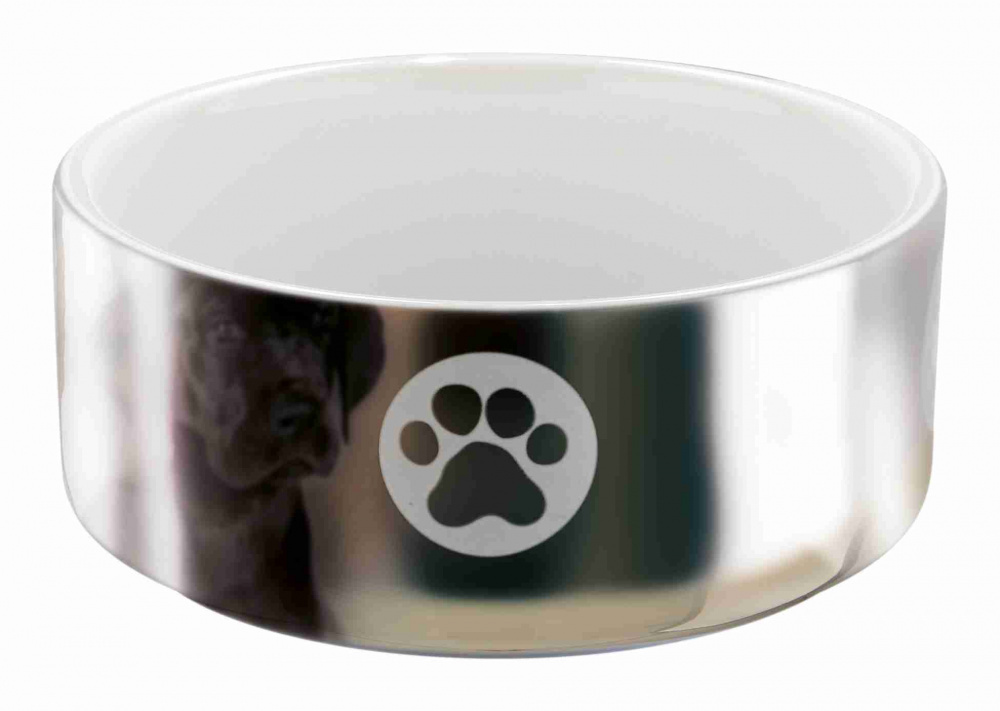 миска для домашних животных с высокой спинкой замедляющая подачу корма 12 х 5 см Trixie Trixie миска керамическая с рисунком, серебряный/белый (300 мл)