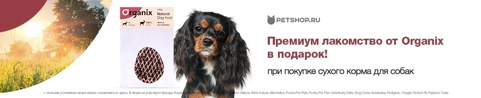 При покупке сухого корма для собак - Премиум лакомство от Organix в подарок!