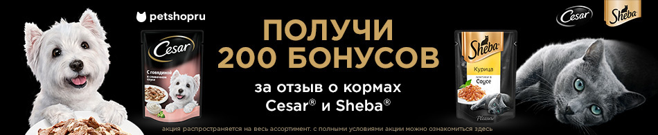 200 бонусов за отзыв при покупке Sheba или Cesar!