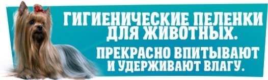 АКЦИЯ! ЧИСТЫЙ ДОМ! КУПИ ДВЕ УПАКОВКИ ПЕЛЕНОК И ПОЛУЧИ ТРЕТЬЮ В ПОДАРОК!