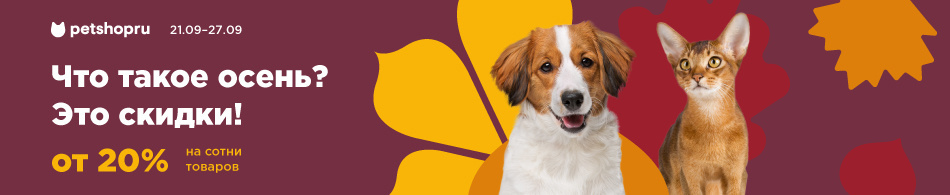 Осенняя распродажа в Petshop!