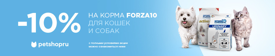 -10% на корма Forza10 для кошек и собак!