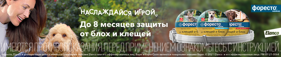 -15% на ошейники Форесто!