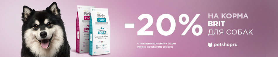 -20% на корма для собак Brit
