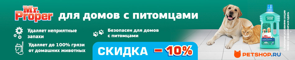 -10% на средства для уборки Mr. Proper