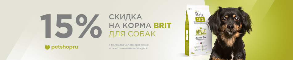 -15% на корма для собак Brit