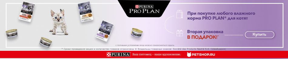 Вторая упаковка влажного корма в подарок!