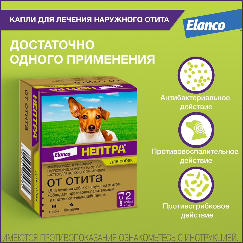 Elanco Elanco нептра® раствор для лечения наружного отита у собак (10 г) ушные капли для собак elanco нептра для лечения наружного отита 2 пипетки 1мл