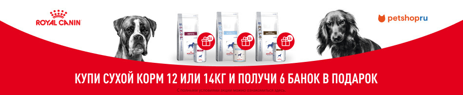 6 банок в подарок от Royal Canin!
