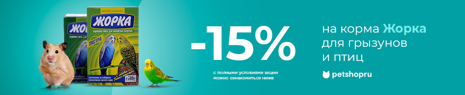 -15% на корма Жорка!