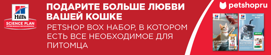 Набор, в котором есть все необходимое!