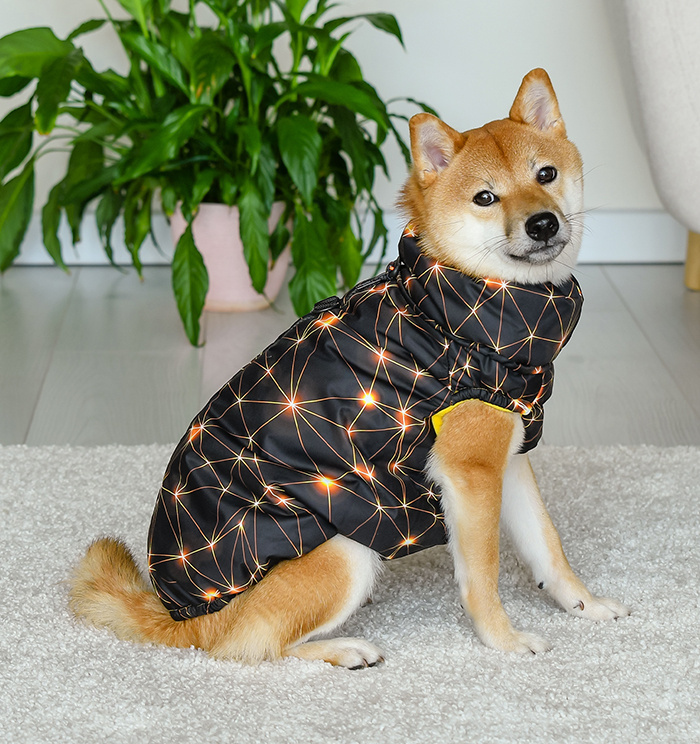Tappi одежда Tappi одежда жилет Пандора для собак (XL) tappi одежда tappi одежда спасательный жилет для собак ленни оранжевый xl