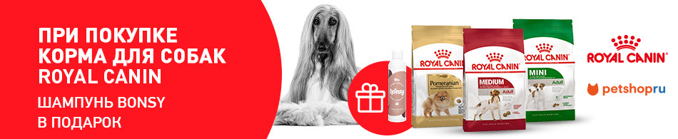 При покупке кормов Royal Canin - шампунь Bonsy в подарок!
