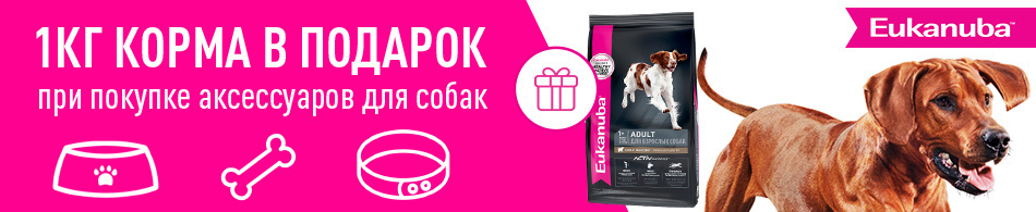 Корм от Eukanuba в подарок!
