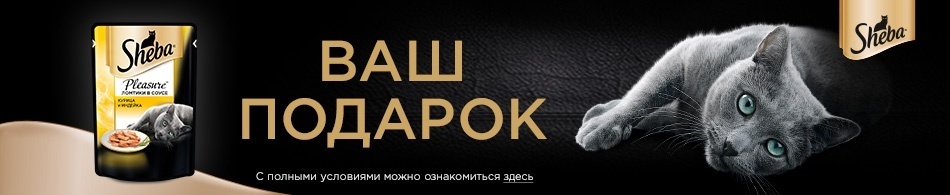 Подарок от Sheba за покупку товаров для кошек!