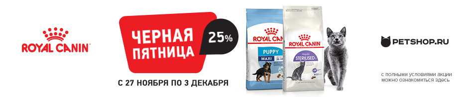 Скидки до 25% на корма Royal Canin