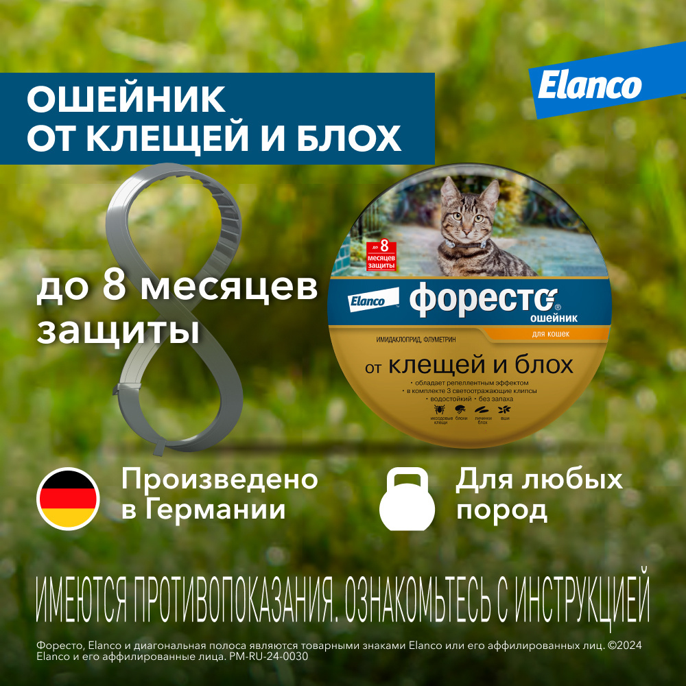 цена Elanco Elanco форесто® ошейник от клещей и блох для кошек (98 г)
