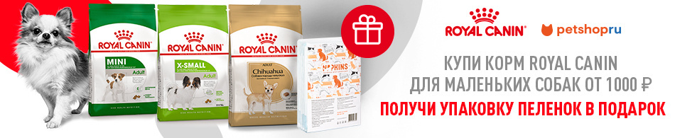 При покупке кормов Royal Canin - пеленки в подарок!