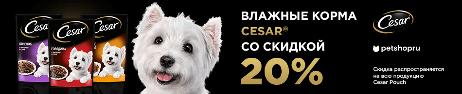Скидка 20% на паучи Cesar