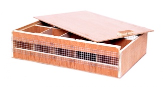 Переноска для длиннохвостых попугаев 10 отсеков, 38х27х9 см Переноска для длиннохвостых попугаев 10 отсеков, 38х27х9 см