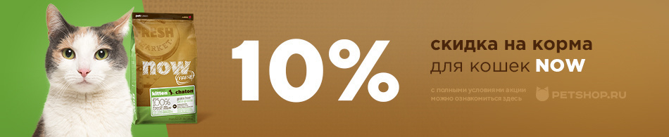 Скидка 10% на корма для кошек NOW
