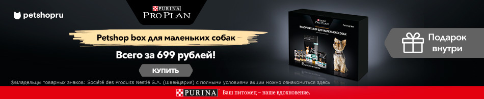 Petshop Box для собак мелких пород!