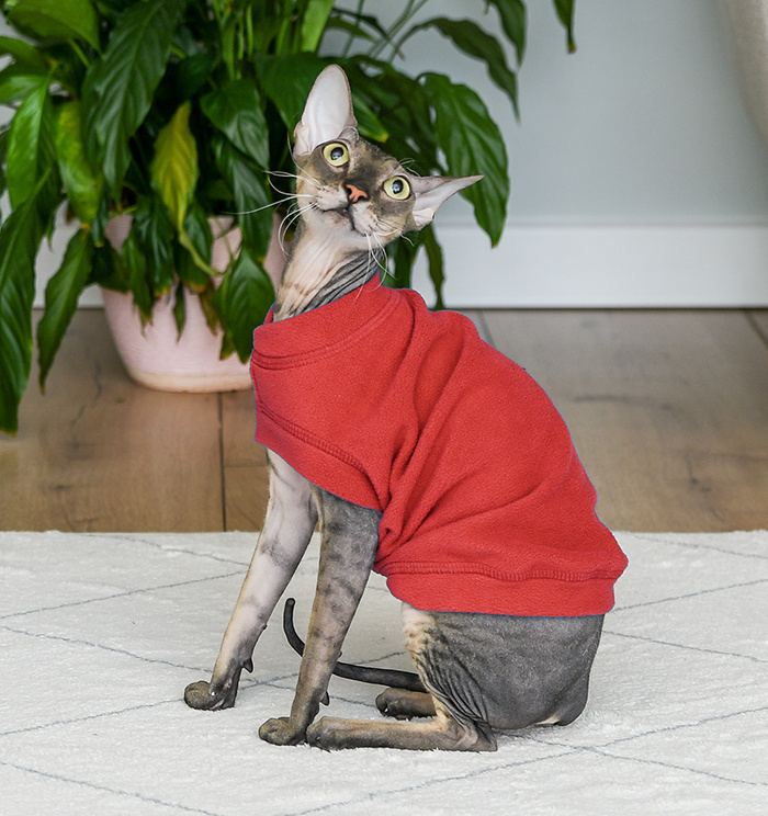 Tappi одежда Tappi одежда жилет для кошек Моди, красный (M)