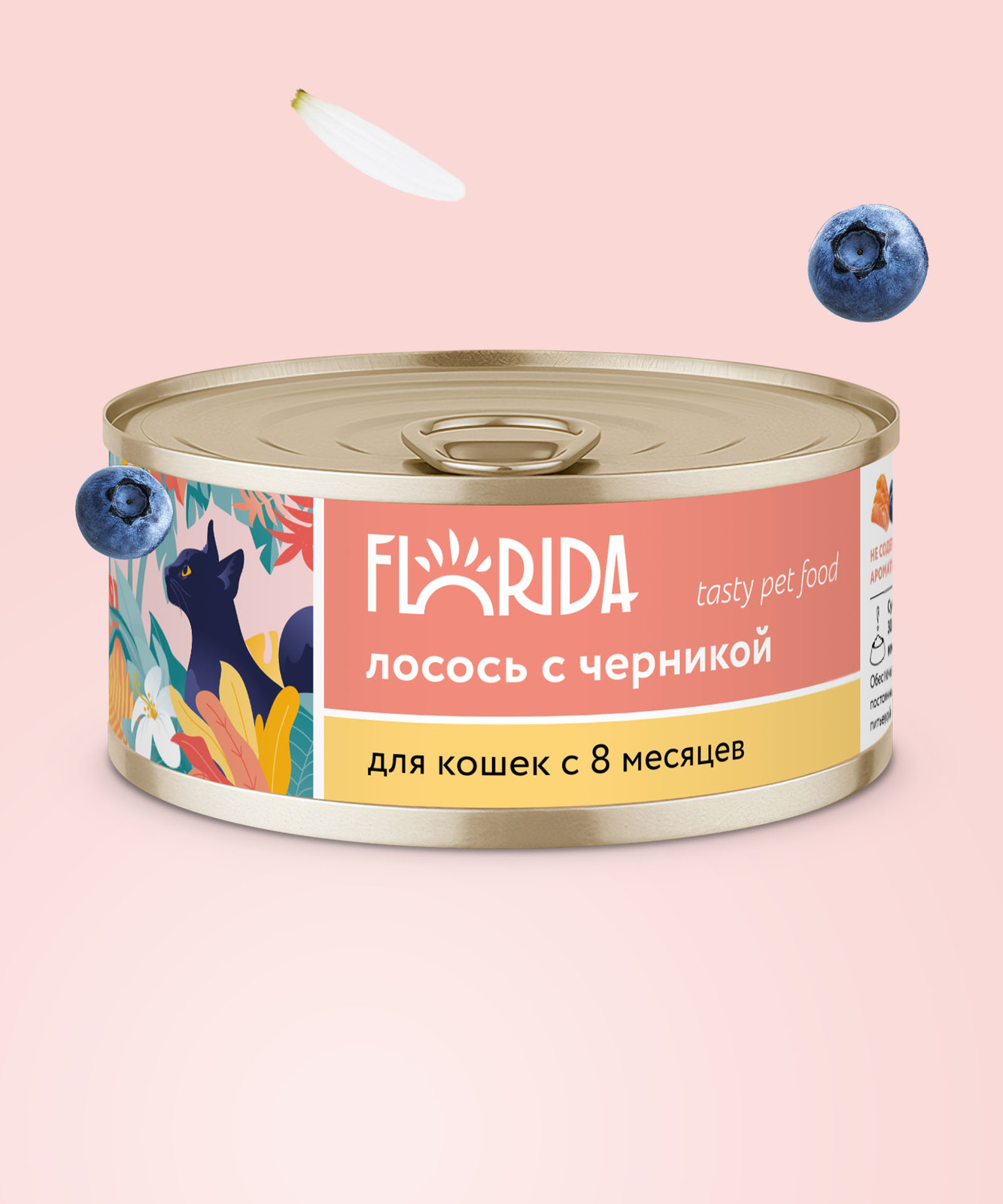 FLORIDA консервы FLORIDA консервы для кошек Лосось с черникой (100 г)