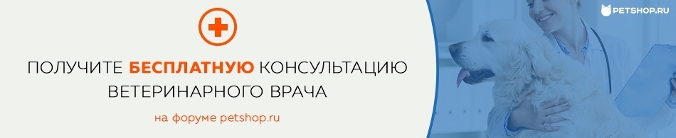 Бесплатная консультация ветеринарного врача!