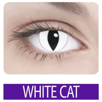 Линза на 3 месяца Crazy White Cat Белая Кошка, 1 шт. (опт.сила 0, R=8.6, D=14) Линза на 3 месяца Crazy White Cat Белая Кошка, 1 шт. (опт.сила 0, R=8.6, D=14) 07591 Adria