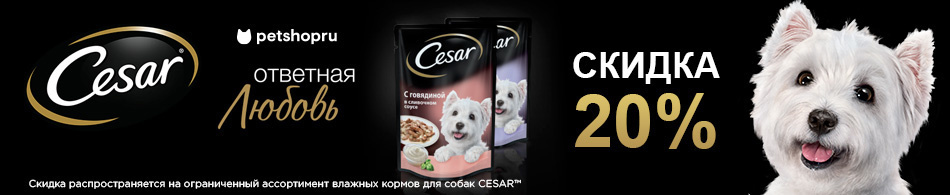 -20% на паучи Cesar!
