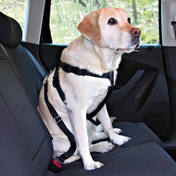 Trixie Trixie ремень безопасности для собак со шлейкой (128 г) 40799
