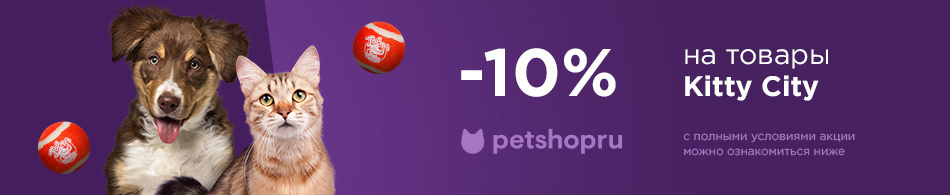 -10% на товары Kitty City!