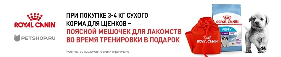 Поясной мешочек для лакомств в подарок!