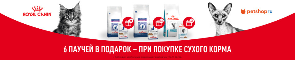 6 паучей в подарок от Royal Canin!