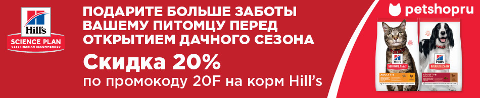Скидка 20% на корма Hill`s Science Plan!