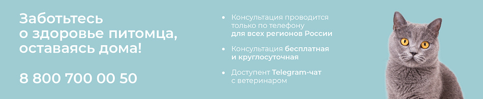 Бесплатная консультация ветеринара!