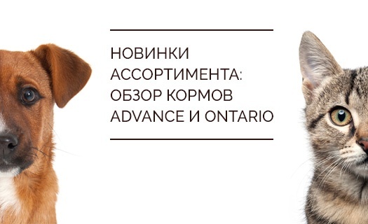  Новинки ассортимента: обзор кормов Advance и Ontario
