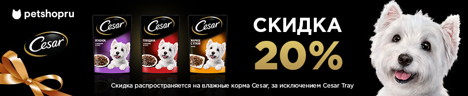 Скидка 20% на паучи Cesar