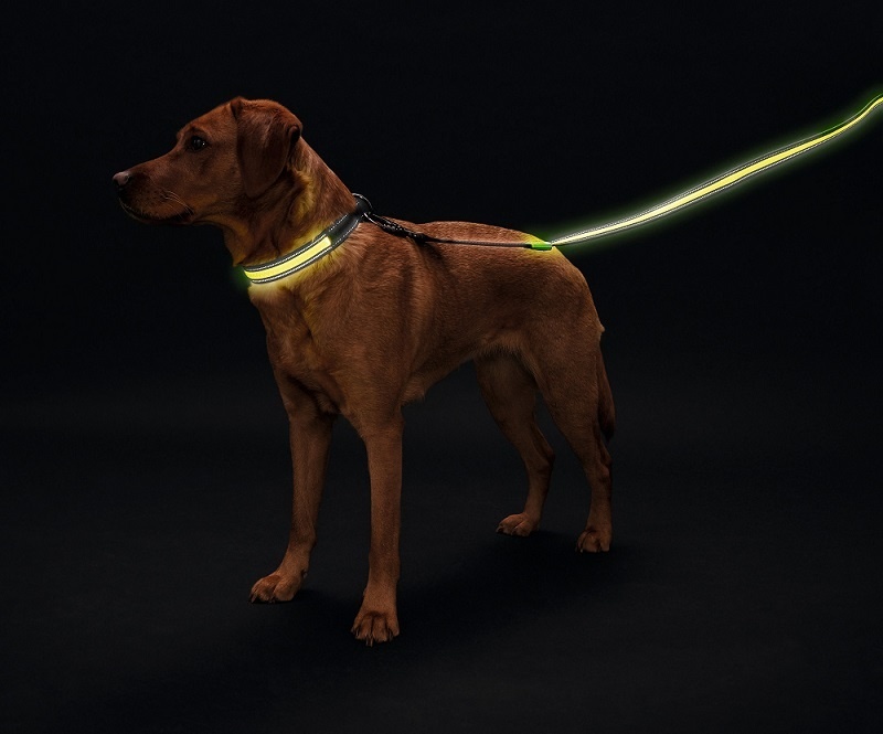 Hunter Hunter hunter LED Поводок Manoa Glow, желтый (120 см)