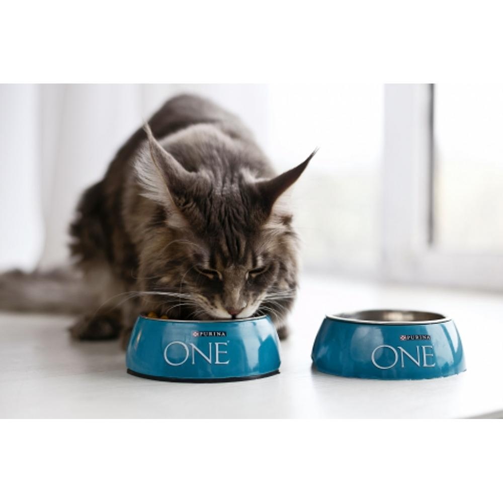 Корм Purina One сухой корм для взрослых кошек, живущих в домашних условиях, с высоким содержанием индейки и цельными злаками (1,5 кг) 