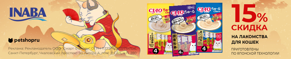 -15% на лакомства Inaba для кошек!