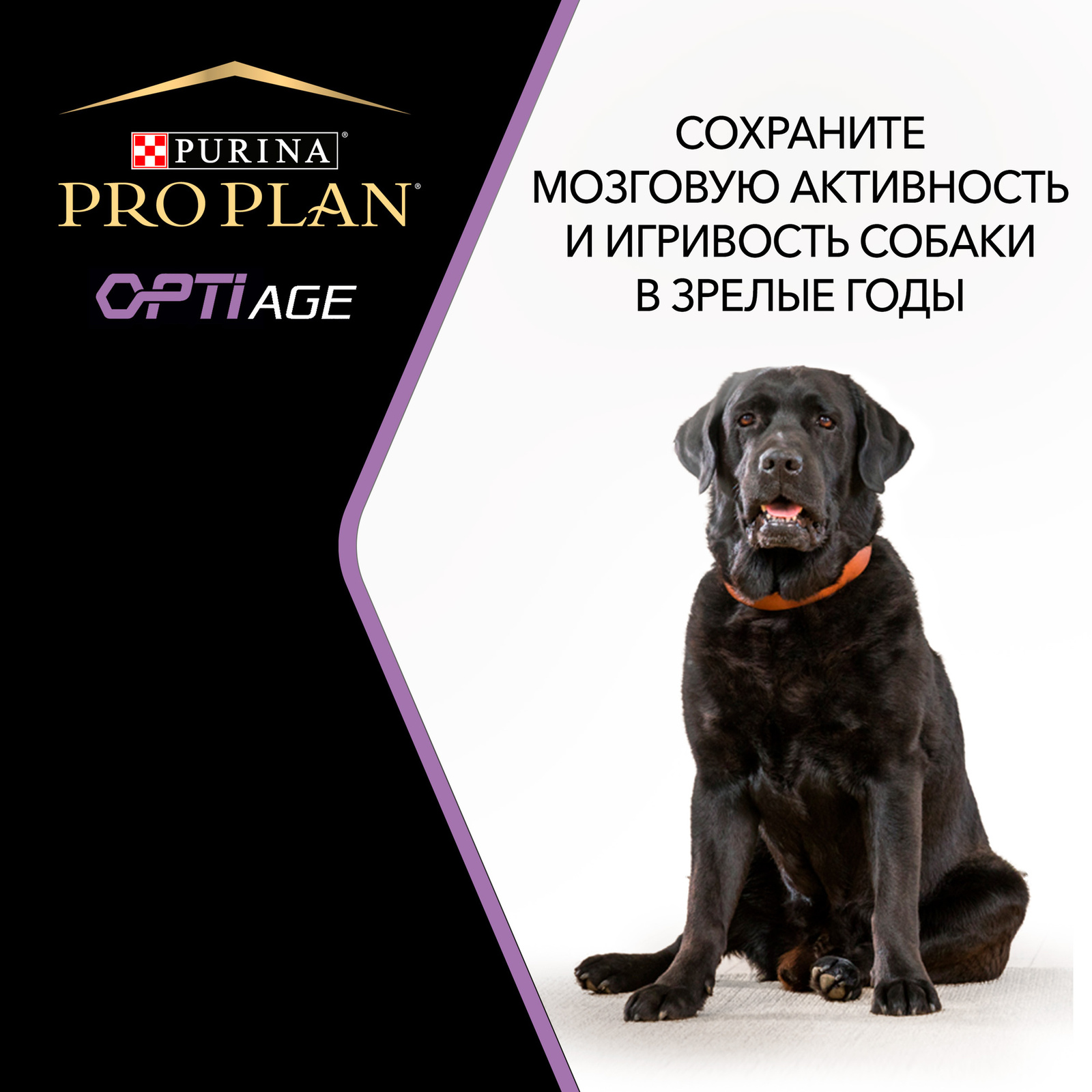 Корм PRO PLAN для взрослых собак старше 7 лет средних и крупных пород, с высоким содержанием курицы (3 кг)