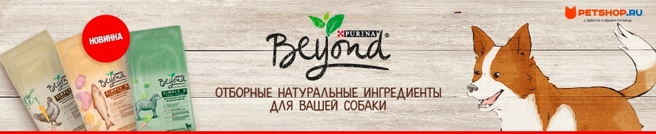 Новые премиальные корма для собак от бренда Beyond!