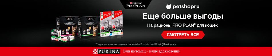 Еще больше выгоды с Pro Plan!