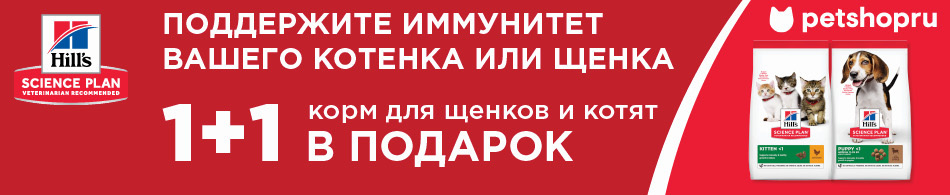 Вторая упаковка Hill`s Science Plan в подарок!