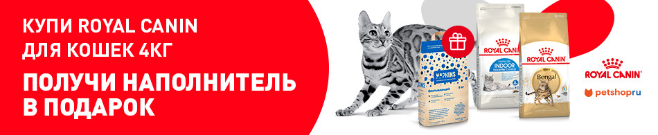 При покупке кормов Royal Canin - наполнитель в подарок!