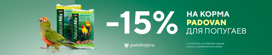 -15% на корма Padovan для попугаев!