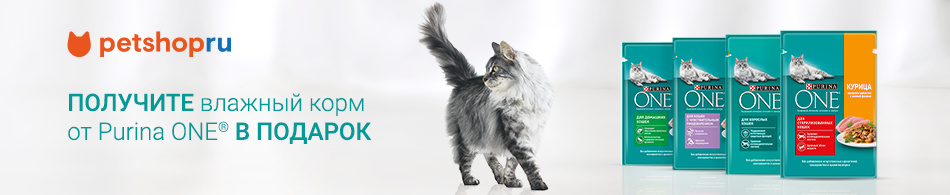 Влажный корм Purina One в подарок!
