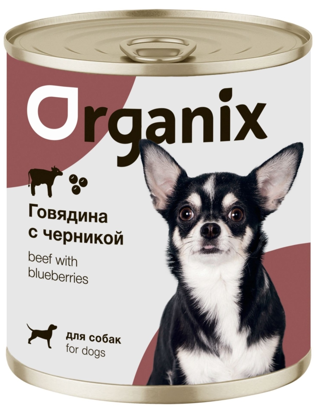 Organix консервы Organix консервы для собак Заливное из говядины с черникой (100 г) organix консервы organix монобелковые премиум консервы для собак с уткой 100 г